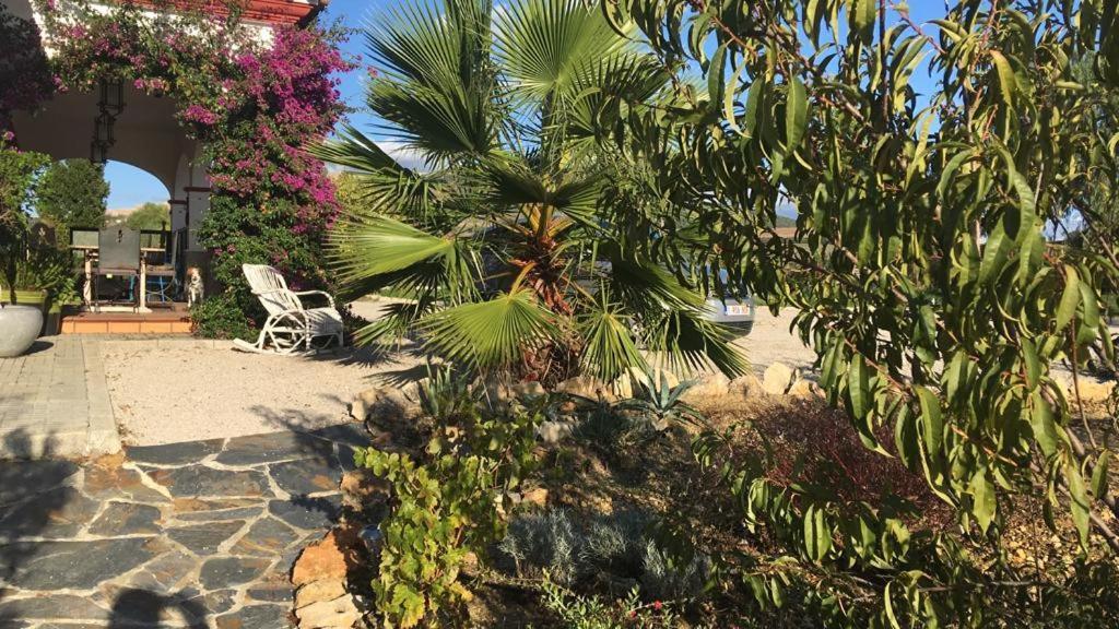 Villa Entre Mer Et Montagne Arcos de la Frontera Ngoại thất bức ảnh